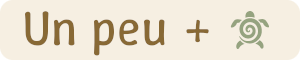 Plus